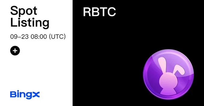 راکی ربیت RBTC در صرافی بینگ ایکس